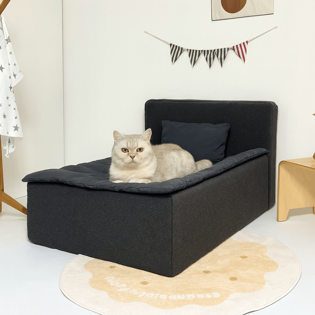 De Catspring is een absolute hit! Onze Maine Coon past er perfect in 🐱✨